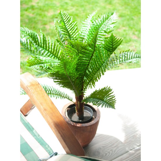 EUROPALMS Palma Cycas Artificiale 70 cm - Pianta Decorativa in PEVA per Interni ed Esterni