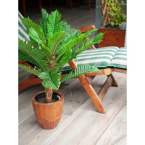 EUROPALMS Palma Cycas Artificiale 70 cm - Pianta Decorativa in PEVA per Interni ed Esterni