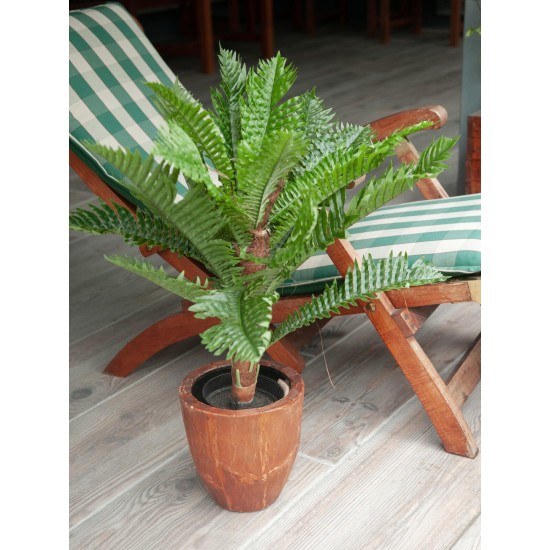 EUROPALMS Palma Cycas Artificiale 70 cm - Pianta Decorativa in PEVA per Interni ed Esterni