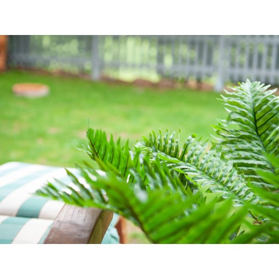 EUROPALMS Palma Cycas Artificiale 70 cm - Pianta Decorativa in PEVA per Interni ed Esterni