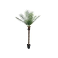 EUROPALMS Palma delle Canarie Deluxe 220 cm - Pianta Artificiale per Esterni