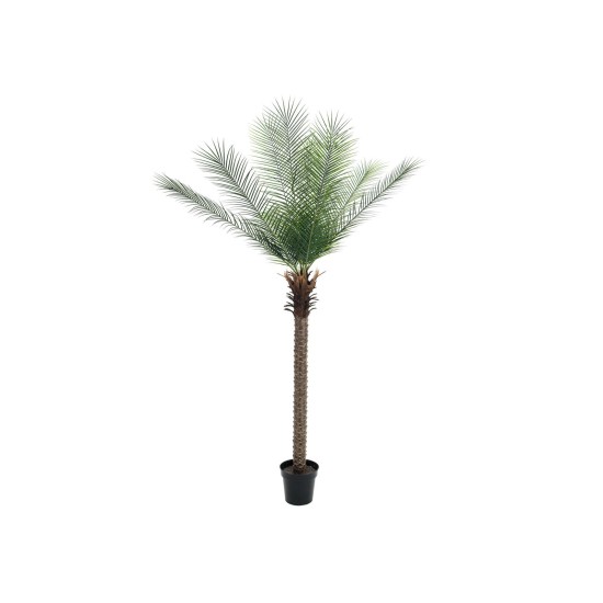 EUROPALMS Palma delle Canarie Deluxe 220 cm - Pianta Artificiale per Esterni
