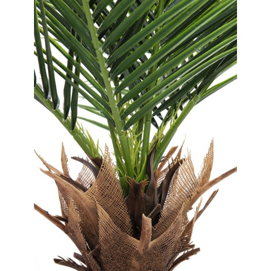 EUROPALMS Palma delle Canarie Deluxe 220 cm - Pianta Artificiale per Esterni