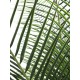EUROPALMS Palma delle Canarie Deluxe 220 cm - Pianta Artificiale per Esterni