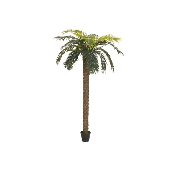 EUROPALMS Palma delle Canarie Deluxe 250 cm - Pianta Artificiale per Decorazioni Mediterranee