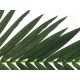 EUROPALMS Palma Reale Artificiale 150 cm - Decorazione Tropicale di Alta Qualità