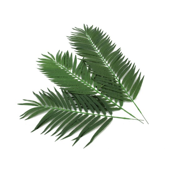 Ramo di Palma Cocco Artificiale EUROPALMS, Set da 12, 90cm, Decorazioni Tropicali