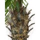 EUROPALMS Palma delle Canarie Luxor - Pianta Artificiale 150 cm con Fogliame Realistico