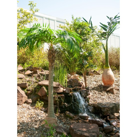 EUROPALMS Palma delle Canarie Luxor - Pianta Artificiale Realistica 210 cm