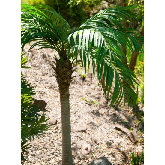 EUROPALMS Palma delle Canarie Luxor - Pianta Artificiale Realistica 210 cm