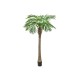 Palma delle Canarie Luxor EUROPALMS, Pianta Artificiale 240 cm - Decorazione Mediterranea