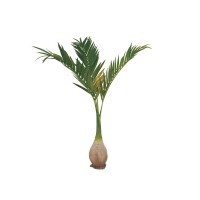 Palma delle Canarie Artificiale EUROPALMS 240 cm - Decorazione Verde Realistica per Interni
