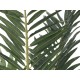 Palma delle Canarie Artificiale EUROPALMS 240 cm - Decorazione Verde Realistica per Interni