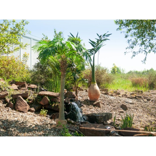 Palma delle Canarie Artificiale EUROPALMS 240 cm - Decorazione Verde Realistica per Interni