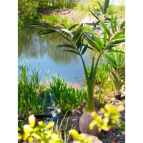 Palma delle Canarie Artificiale EUROPALMS 240 cm - Decorazione Verde Realistica per Interni