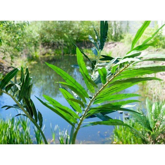 Palma delle Canarie Artificiale EUROPALMS 240 cm - Decorazione Verde Realistica per Interni