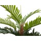 EUROPALMS Palma di Kentia Artificiale 150 cm con Tronco Naturale – Decorazione Scenografica