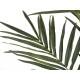 Palma Kentia Artificiale EUROPALMS 300cm - Decorazione di Lusso per Interni ed Esterni