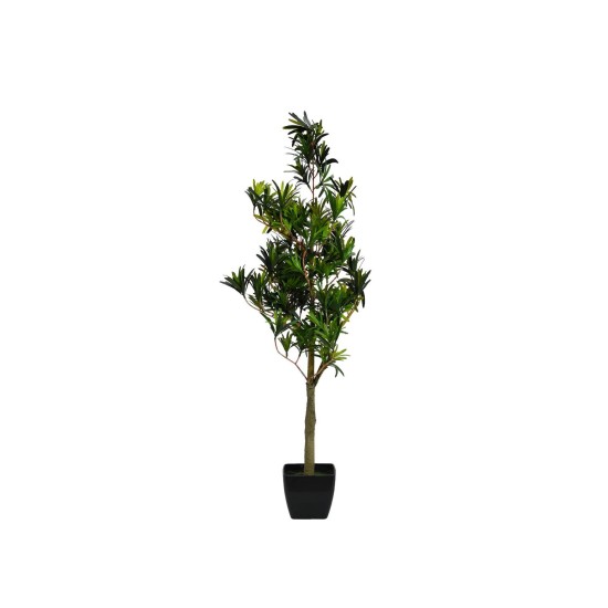 EUROPALMS Podocarpus Artificiale 90cm - Pianta Decorativa Realistica per Interni ed Esterni