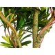 EUROPALMS Podocarpus Artificiale 90cm - Pianta Decorativa Realistica per Interni ed Esterni