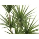 Palma Yucca Artificiale EUROPALMS 130 cm per Interni ed Esterni, Foglie Realistiche