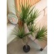 Palma Yucca Artificiale EUROPALMS 130 cm per Interni ed Esterni, Foglie Realistiche