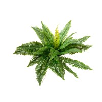EUROPALMS Felce Boston Artificiale, Pianta Decorativa Flessibile 53 cm - Verde Realistico