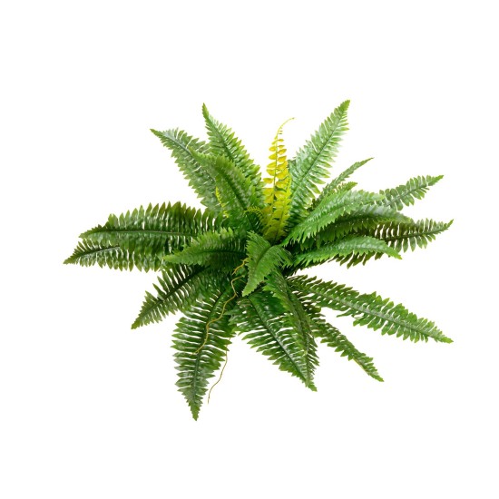 EUROPALMS Felce Boston Artificiale, Pianta Decorativa Flessibile 53 cm - Verde Realistico