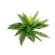 EUROPALMS Felce Boston Artificiale, Pianta Decorativa Flessibile 53 cm - Verde Realistico