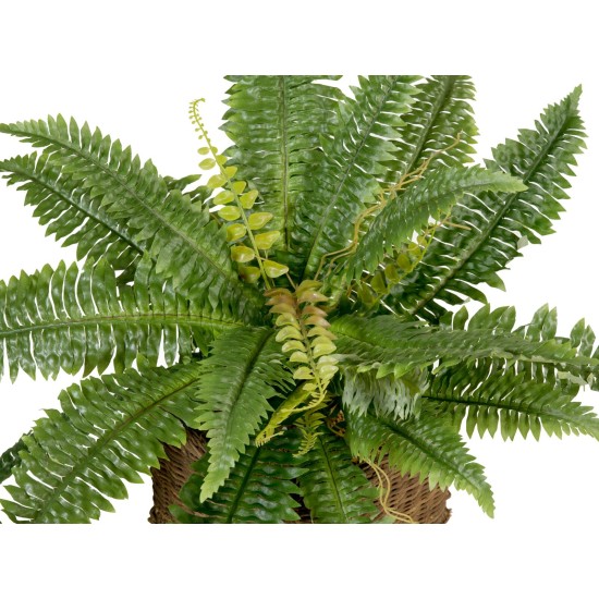 EUROPALMS Felce Boston Artificiale, Pianta Decorativa Flessibile 53 cm - Verde Realistico
