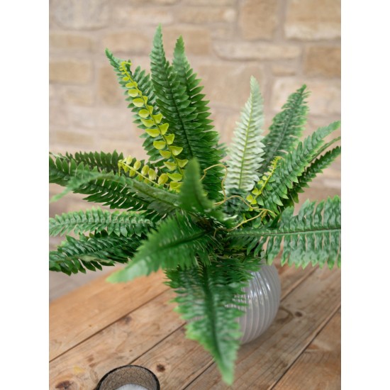 EUROPALMS Felce Boston Artificiale, Pianta Decorativa Flessibile 53 cm - Verde Realistico