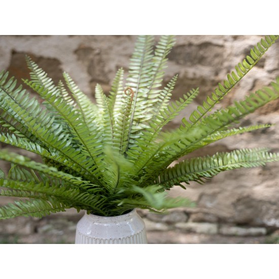 Felce Osmunda Artificiale EUROPALMS - Verde Realistico, 70 cm