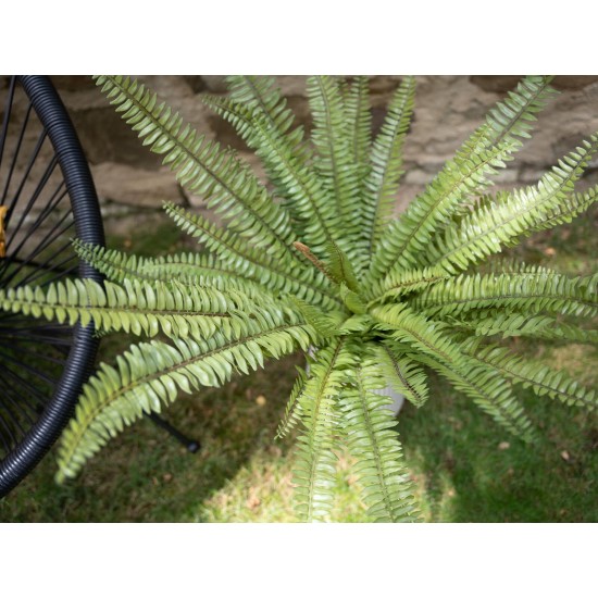 Felce Osmunda Artificiale EUROPALMS - Verde Realistico, 70 cm