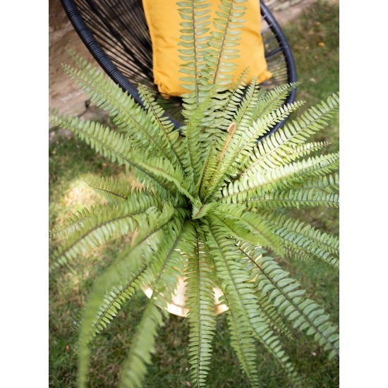 Felce Osmunda Artificiale EUROPALMS - Verde Realistico, 70 cm