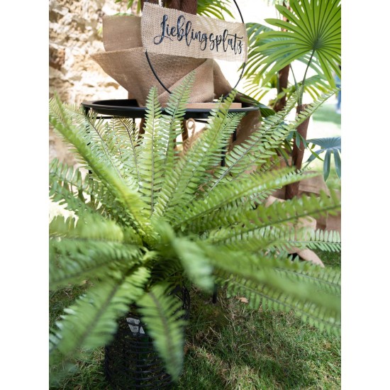 Felce Osmunda Artificiale EUROPALMS - Verde Realistico, 70 cm