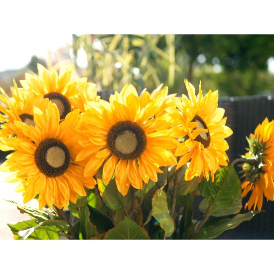 EUROPALMS Girasole Artificiale 70 cm - Decorazione Malleabile con Fiori Grandi e Foglie Realistiche