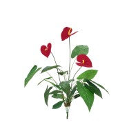 EUROPALMS Anthurium Artificiale, Pianta Tropicale 70cm, Foglie e Fiori Rossi Realistici
