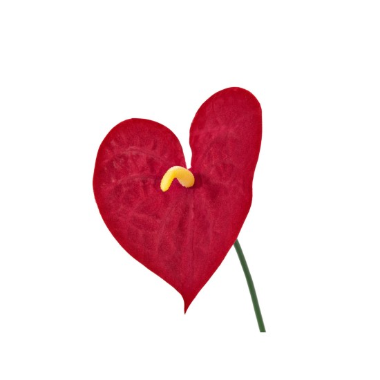 EUROPALMS Anthurium Artificiale, Pianta Tropicale 70cm, Foglie e Fiori Rossi Realistici