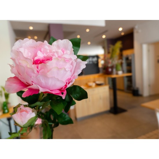 Ramo di Peonia Artificiale Rosa 80cm - EUROPALMS, Fiori Primaverili di Alta Qualità