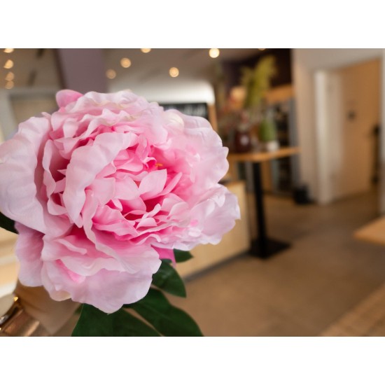 Ramo di Peonia Artificiale Rosa 80cm - EUROPALMS, Fiori Primaverili di Alta Qualità