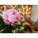 Ramo di Peonia Artificiale Rosa 80cm - EUROPALMS, Fiori Primaverili di Alta Qualità
