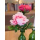 Ramo di Peonia Artificiale Rosa 80cm - EUROPALMS, Fiori Primaverili di Alta Qualità