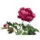 Ramo di Peonia Magenta EUROPALMS 100cm - Pianta Artificiale Premium