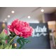 Ramo di Peonia Magenta EUROPALMS 100cm - Pianta Artificiale Premium