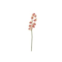 Ramo Cymbidium Artificiale EUROPALMS 90cm, Crema-Rosa, per Decorazioni Esterne