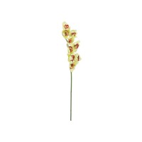 Ramo Cymbidium Artificiale EUROPALMS, Verde, 90cm – Elegante Decorazione per Interni ed Esterni