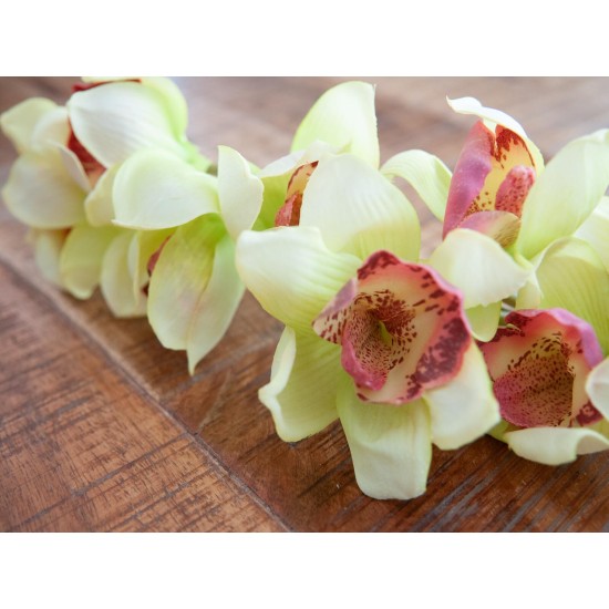 Ramo Cymbidium Artificiale EUROPALMS, Verde, 90cm – Elegante Decorazione per Interni ed Esterni