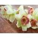 Ramo Cymbidium Artificiale EUROPALMS, Verde, 90cm – Elegante Decorazione per Interni ed Esterni