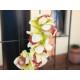 Ramo Cymbidium Artificiale EUROPALMS, Verde, 90cm – Elegante Decorazione per Interni ed Esterni