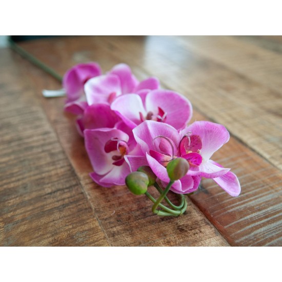 Ramo di Orchidea Artificiale EUROPALMS, Fiori Lilla, 100cm
